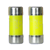 2x 20A Cons Unit Fuses