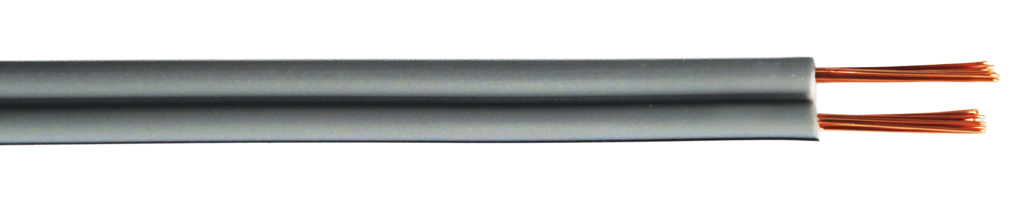 100m Speaker Grey