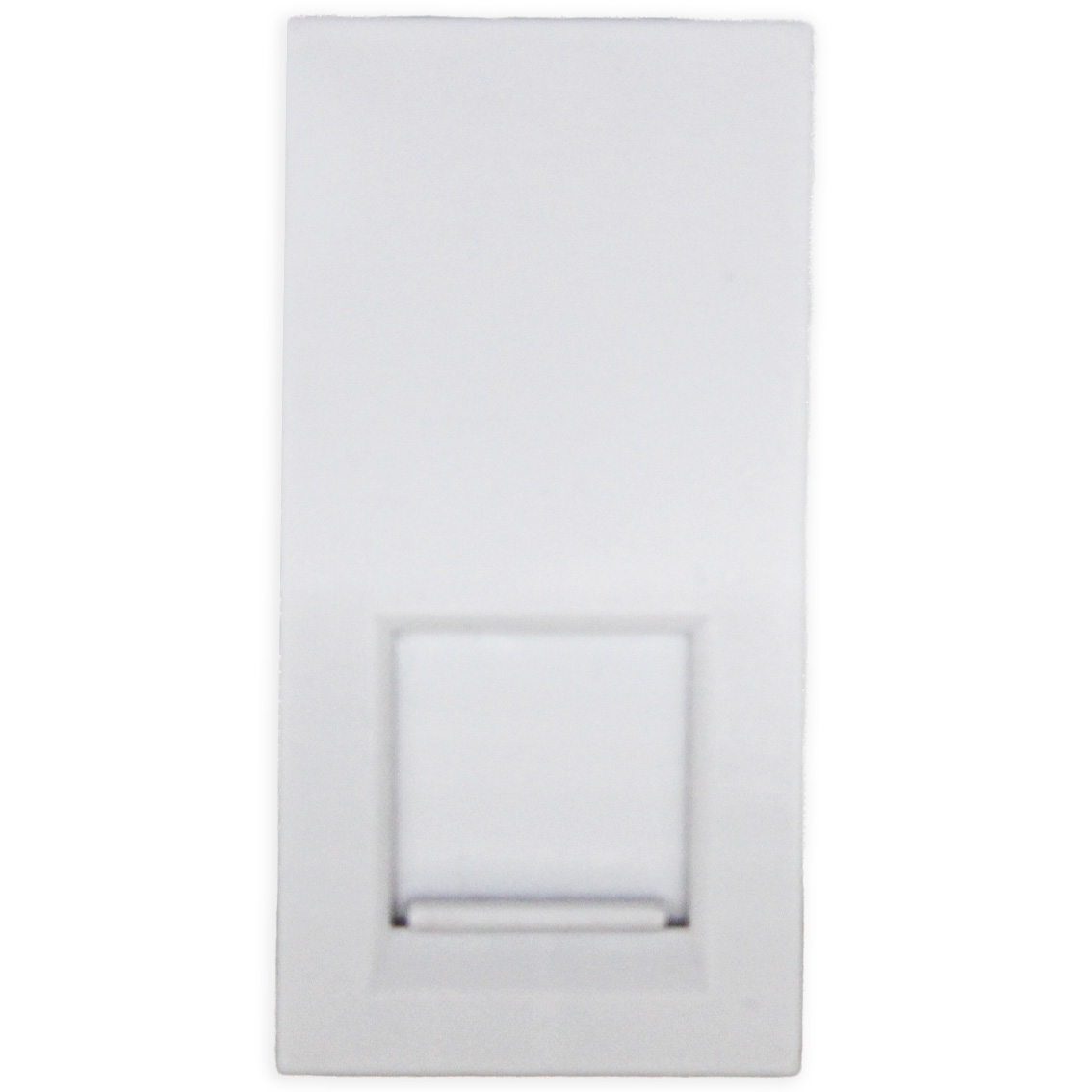 1G RJ45 Module